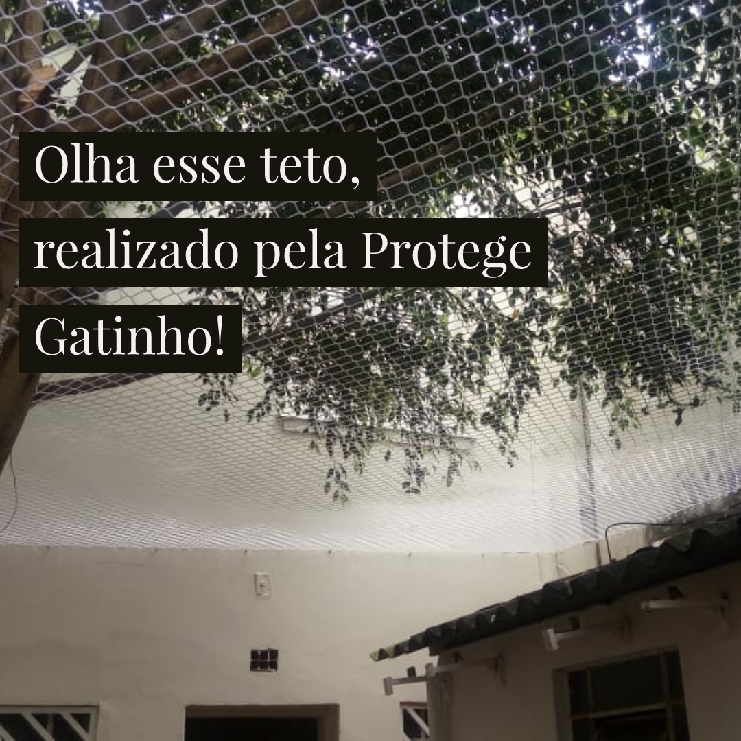 WhatsApp Image 2019-01-08 at 16.15.52.jpeg