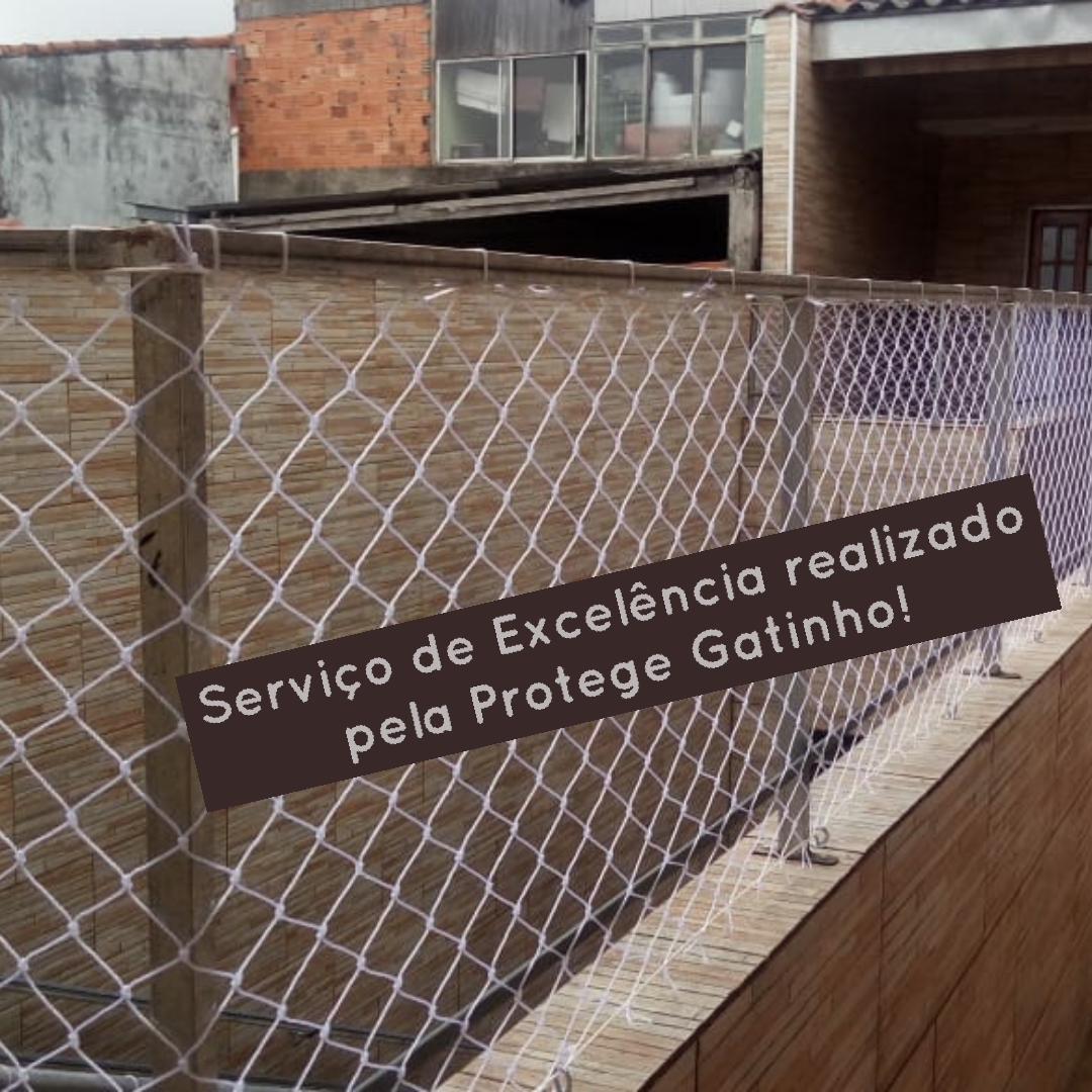 WhatsApp Image 2019-01-08 at 16.15.47.jpeg